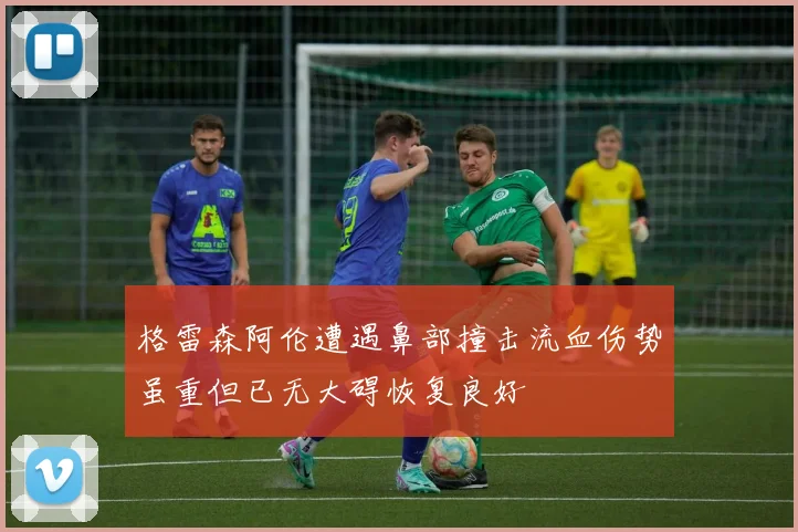 格雷森阿伦遭遇鼻部撞击流血伤势虽重但已无大碍恢复良好