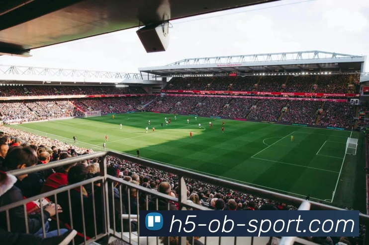 OB体育品牌故事